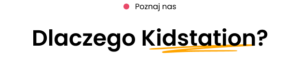 Hero Section 300x62